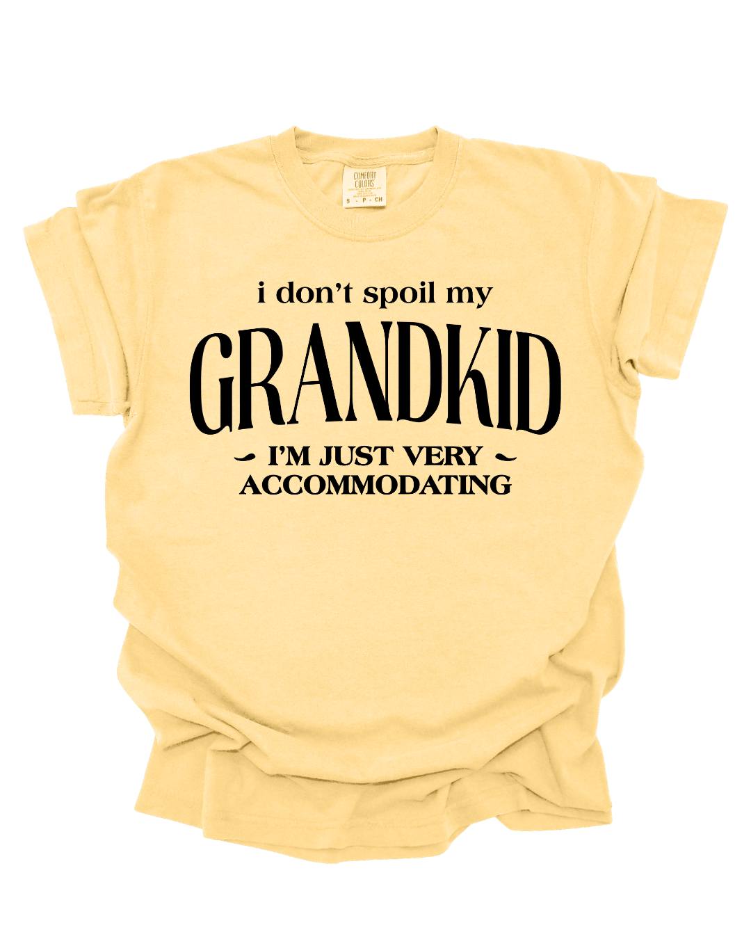 I Don't Spoil My Grandkid Shirt